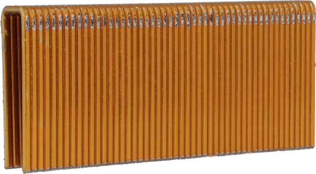 SxxNXBS-FRONT.psd